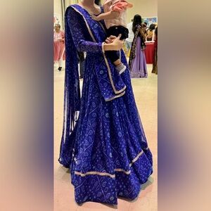 Elegant Blue Traditional Chaniya Choli